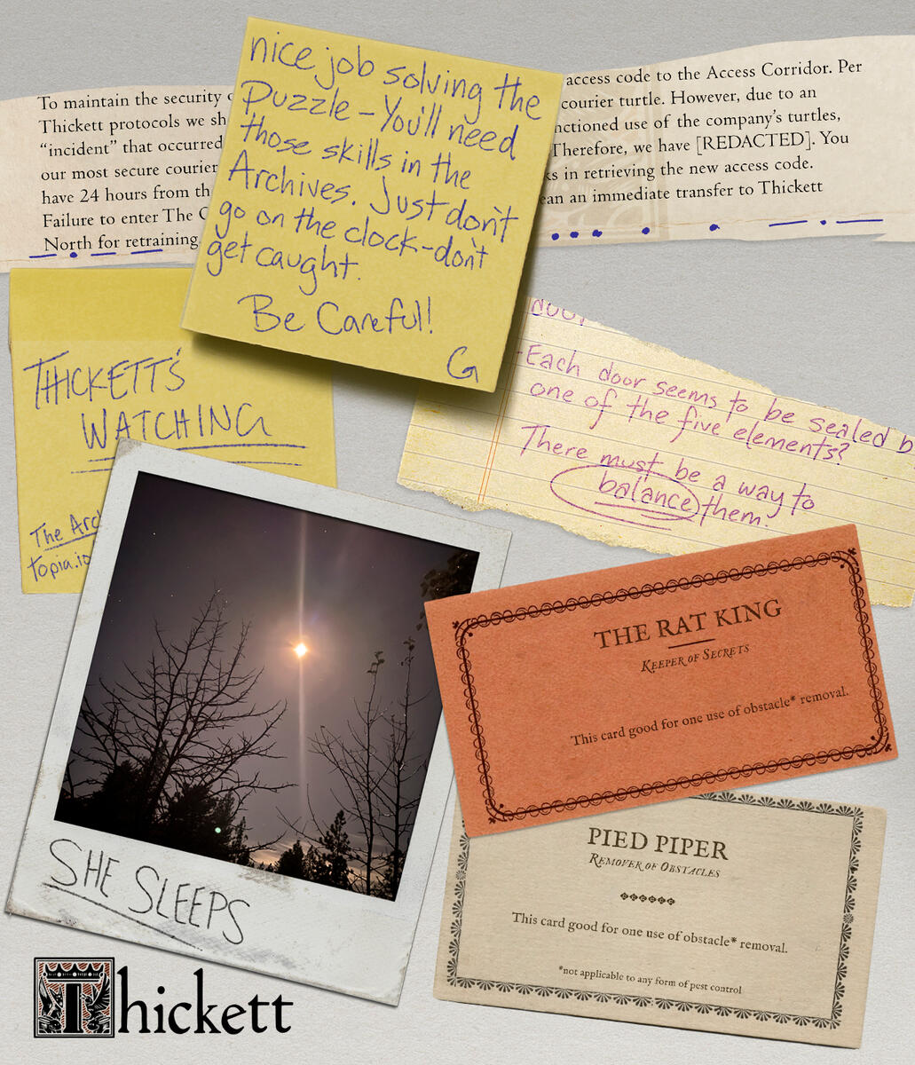 Examples of Ephemera found by the audience during the experience.